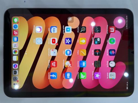 Máy tính bảng iPad Mini 6 Wifi Cellular 256GB Pink
