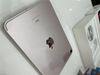 Máy tính bảng iPad Mini 6 Wifi Cellular 256GB Pink