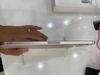 Máy tính bảng iPad Mini 6 Wifi Cellular 256GB Pink