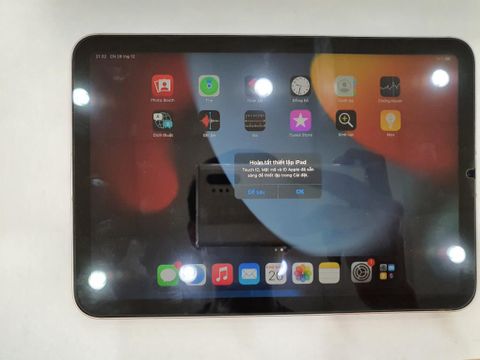 Máy tính bảng iPad Mini 6 Wifi Cellular 256GB Pink