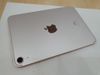 Máy tính bảng iPad Mini 6 Wifi Cellular 256GB Pink