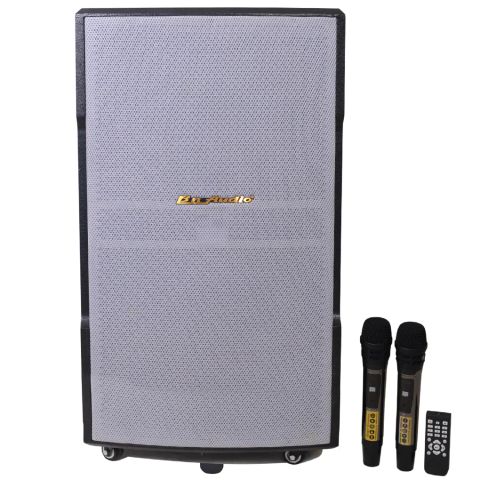 Loa Kéo BN Audio BA 850 V
