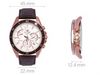 Đồng hồ Nam Edifice Casio EFR-552GL-7AVUDF