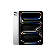  iPad Pro M4 13 inch 