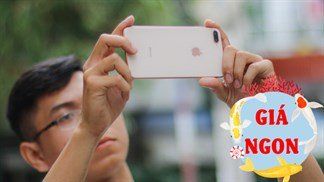 iPhone 8 Plus chính hãng cũ đang giảm hết hồn, đã vậy còn được bảo hành 1 đổi 1, giá rẻ chỉ từ 8.xx triệu đồng