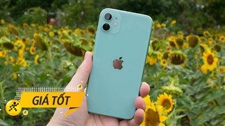 iFans nên biết: Cập nhật nhanh giá bán iPhone 11 chính hãng cực hấp dẫn, khi được ưu đãi chất phát ngất trong tháng 8 này