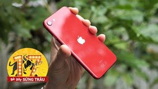 Ưu đãi mừng sinh nhật: iPhone SE giảm lớn quá xá lên đến cả triệu đồng, iFans sao có thể bỏ qua chốt liền tay