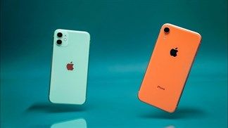 Sau khi ra mắt iPhone 12, Apple giảm giá gần 2.3 triệu đồng cho iPhone Xr và iPhone 11, có iFan nào chuẩn bị mua không?
