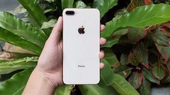  Top 4 điện thoại iPhone đổi trả giá cực tốt, chỉ từ 5.8 triệu đồng tại Thế Giới Động, nhanh tay chọn ngay! 