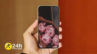 Bắt trend TikTok, tải ngay bộ hình nền hoa mẫu đơn tuyệt đẹp, biết đâu bạn là người may mắn 'thoát kiếp FA'