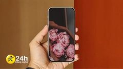  Bắt trend TikTok, tải ngay bộ hình nền hoa mẫu đơn tuyệt đẹp, biết đâu bạn là người may mắn 'thoát kiếp FA' 