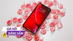 Mua iPhone cũ dưới 10 triệu đồng? Chọn ngay 2 sản phẩm này, giá đã mềm còn được giảm thêm, không sắm liền thì quá phí 