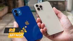  Ưu đãi hỗ trợ mùa dịch quá đã: iPhone giảm khủng khi mua online, nằm nhà săn máy đẳng cấp dễ dàng, hàng về tay nhanh chóng 