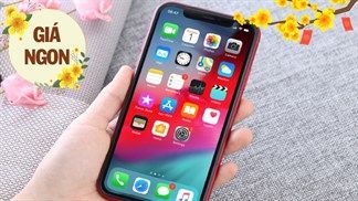 iPhone XR cũ giảm ngon lành, giá khởi điểm chạm mức chỉ hơn 10 triệu, bạn mê phone 'Táo' thì không nên bỏ qua