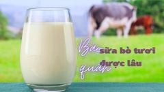  Cách bảo quản sữa bò tươi được lâu, giữ nguyên hương vị như mới vắt 