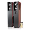 Smart Tivi Casper 4K 55 inch 55UW6000