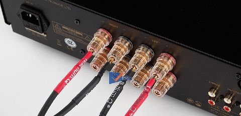 Các loại jack cắm âm thanh phổ biến và bí quyết lựa chọn mà bạn cần biết