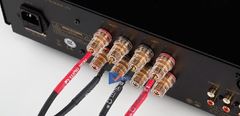  Các loại jack cắm âm thanh phổ biến và bí quyết lựa chọn mà bạn cần biết 