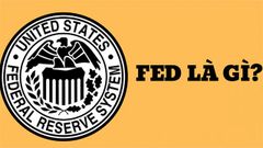  Fed là gì? Vai trò của FED đối với nền kinh tế thế giới 