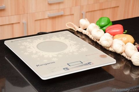 Bếp điện từ Kangaroo KG419i