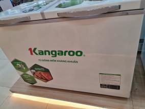 Tủ đông mềm Kangaroo 252 lít KG 408S2
