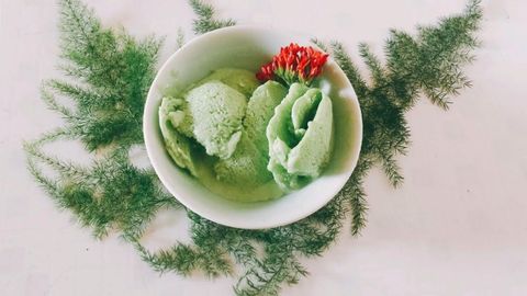 Cách làm kem lá dứa (lá nếp) mát lạnh đơn giản ai cũng thực hiện được