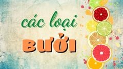  Khám phá các loại bưởi được trồng tại Việt Nam, bạn đã biết hết chưa? 