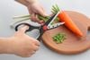 Kéo nhà bếp thép không gỉ TTBH KE003