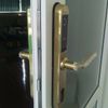 Khoá Cửa Vân Tay Kadol KD-800