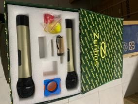 Cặp micro không dây Zenbos MZ-216