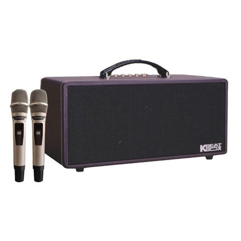 Loa Karaoke Acnos Ks363h | Brown
