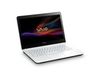 Sony Vaio Fit 15E Svf-1521A2E
