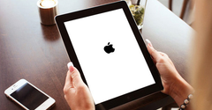  Cách mở, tắt nguồn trên các dòng iPad khi bị treo đơn giản, hiệu quả 