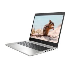  HP ProBook 450 G6 (5YM79PA) 