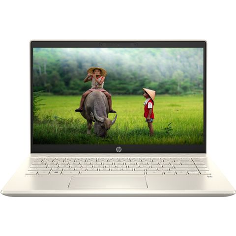 Laptop Hp Pavilion 14-ce3019tu 8qp00pa