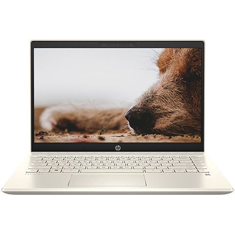 Laptop Hp Pavilion 14-dv0008tu 2d7a5pa