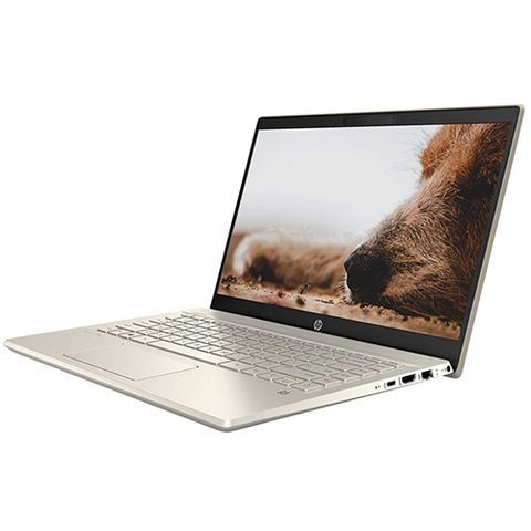 Laptop Hp Pavilion 14-dv0008tu 2d7a5pa Gold