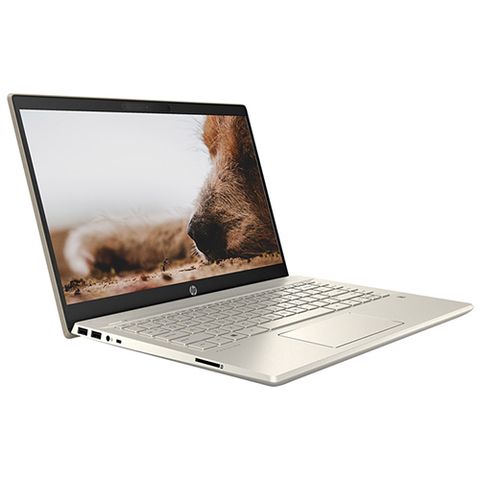 Laptop Hp Pavilion 14-dv0013tu 2d7b8pa Gold