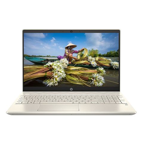 Laptop Hp Pavilion 15-cs3008tu (8qp02pa)