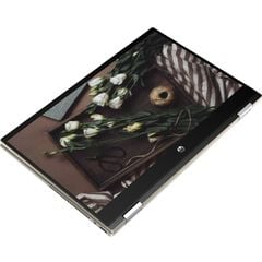  Laptop Hp Pavilion X360 14 Dw0060tu (195m8pa) 