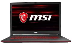  Laptop Msi Gl73 8se 039in 