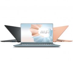  Laptop Msi Modern 14 B10Mw 438Vn 