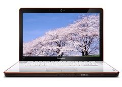  Lenovo Y450 0501080003 