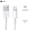 Cáp Type C - Lightning 1m Apple MM0A3 Trắng