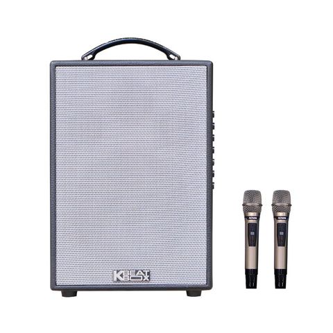 Loa Acnos CS141