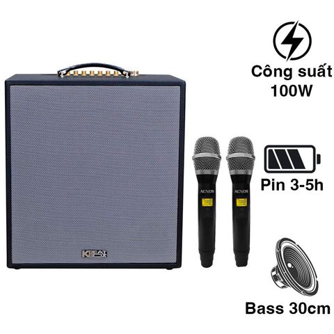Loa Acnos CS300 NEW