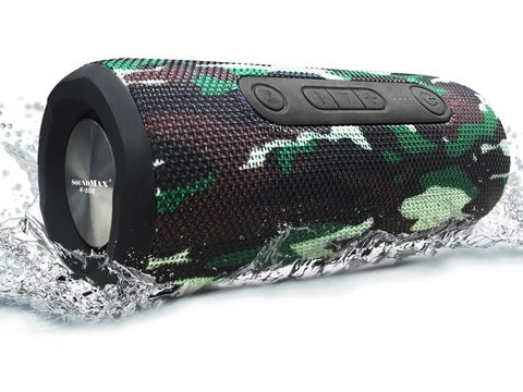 Loa Bluetooth SoundMax R-800