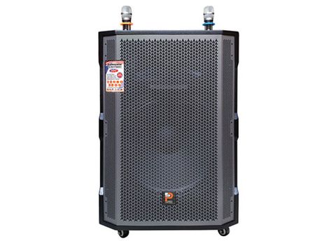 Loa Kéo Prosing W18c