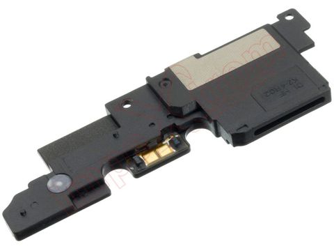 Loa Nokia 5