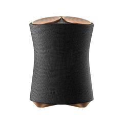  Loa Bluetooth Sony Srs-ra5000 